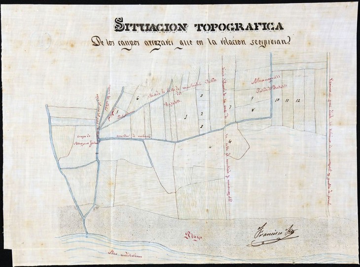 Mapa de camps d'arroç a Rafalell i Vistabella en el segle XIX